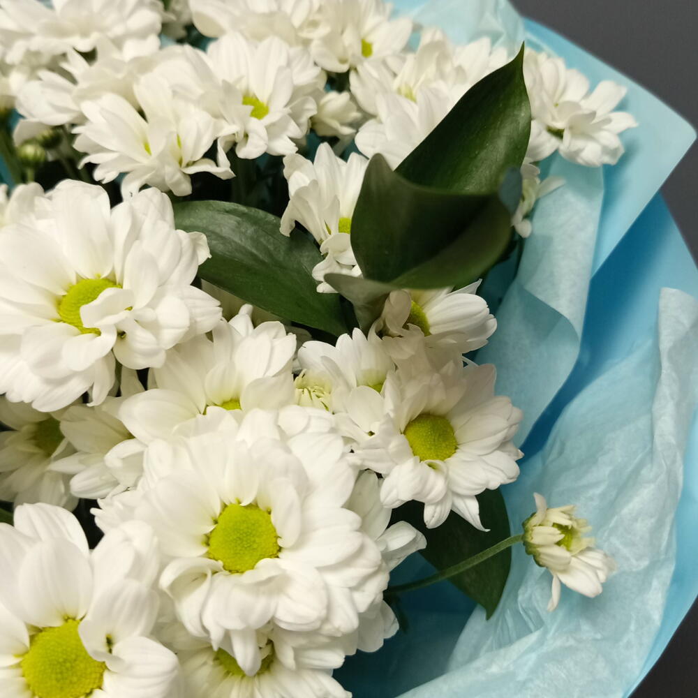 Букет из ромашковых хризантем с рускусом в голубой упаковке /доставка цветов в Уфе