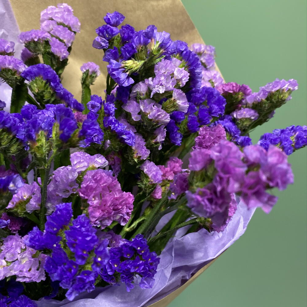 Букет комплимент из 9 веточек статицы 💜