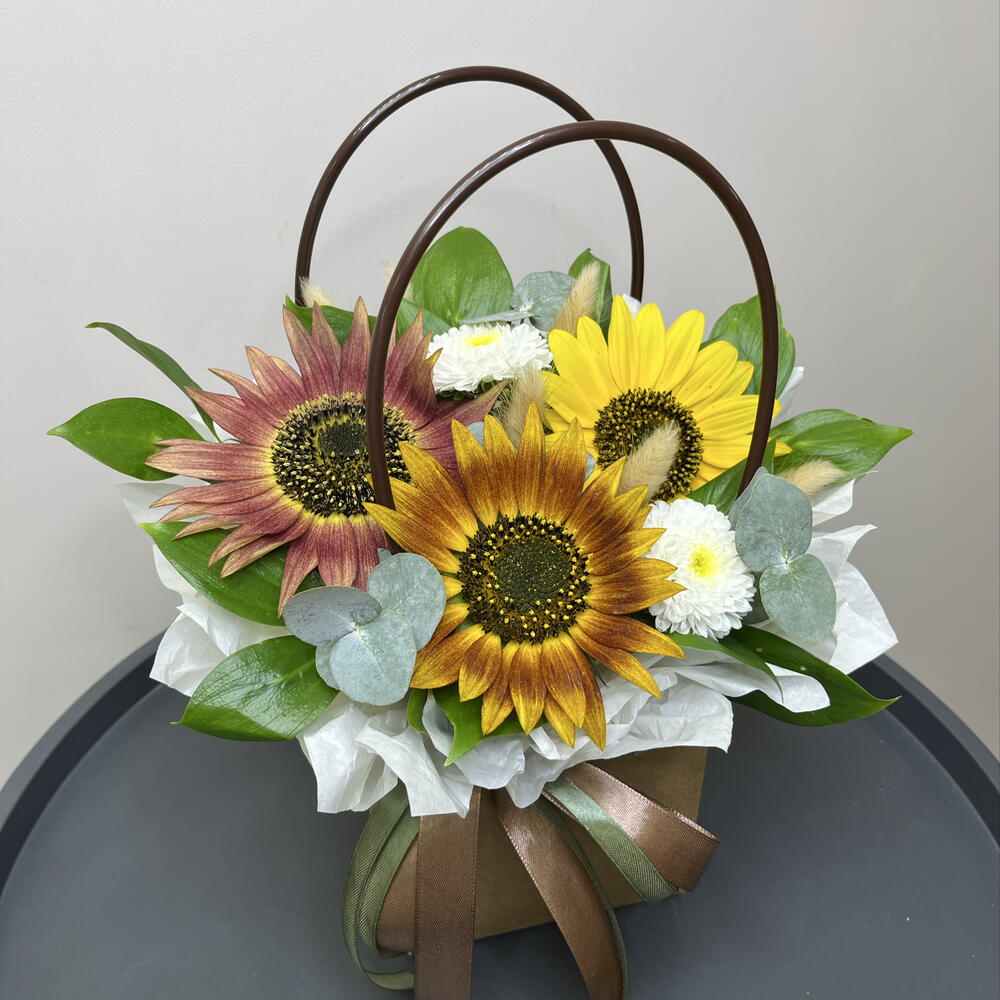 Сортовые солнечные подсолнухи 🌻