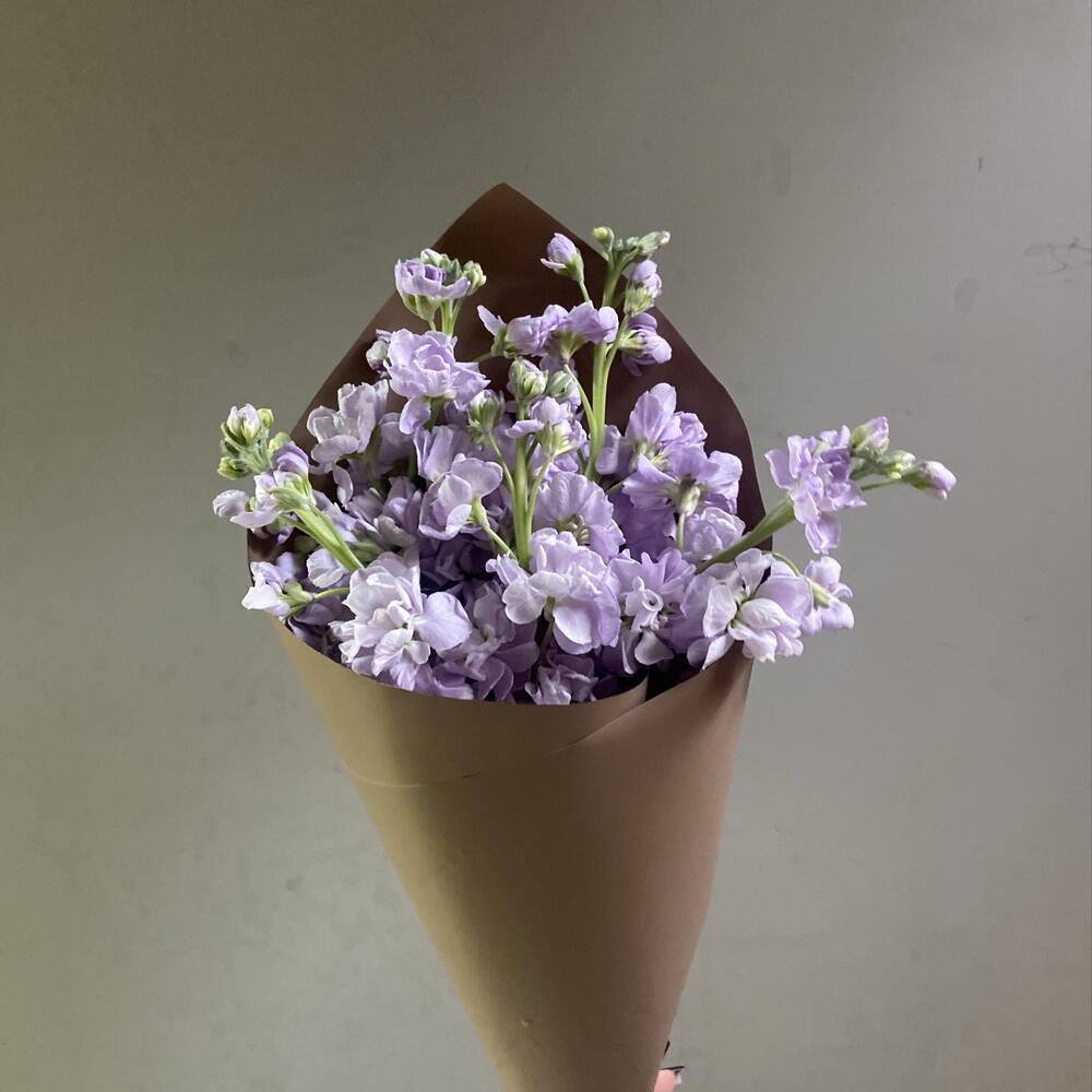 Кулек с маттиолой