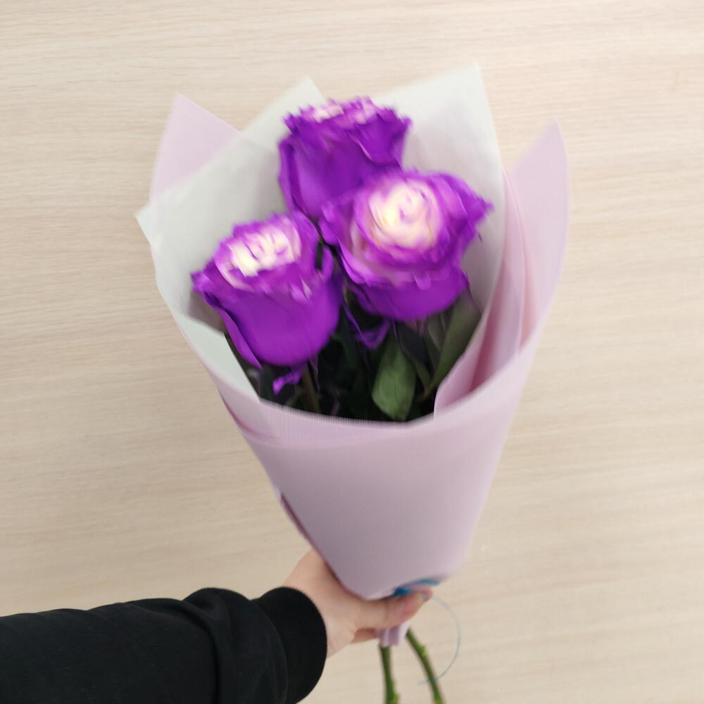 Розы Колор 💕