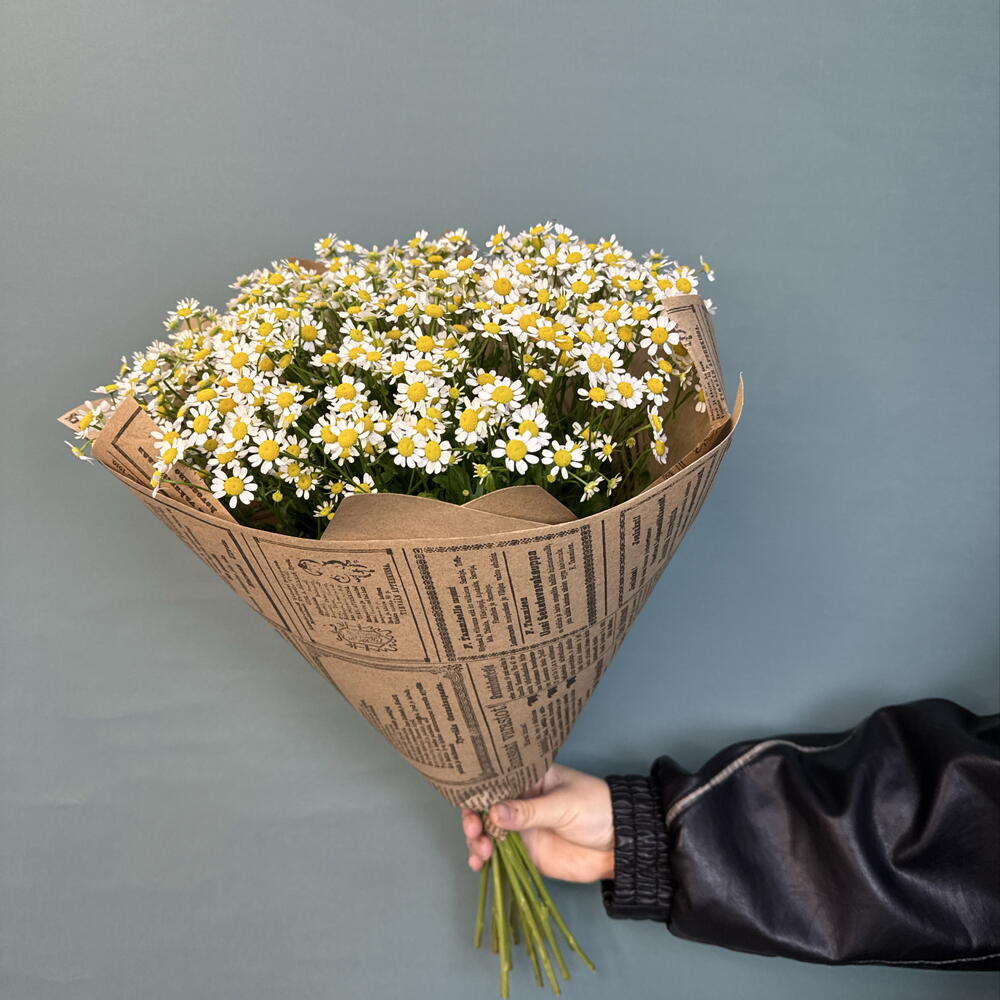 Монобукет из 15 кустовых ромашек 🌼
