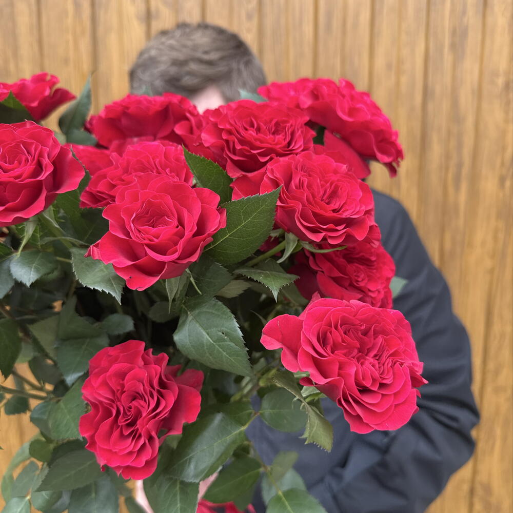 Кустовые розы алые ♥️♥️♥️