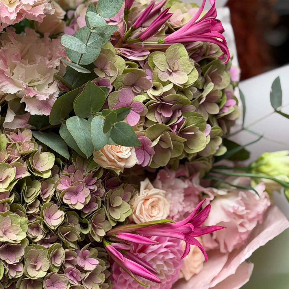 Blush Botanical