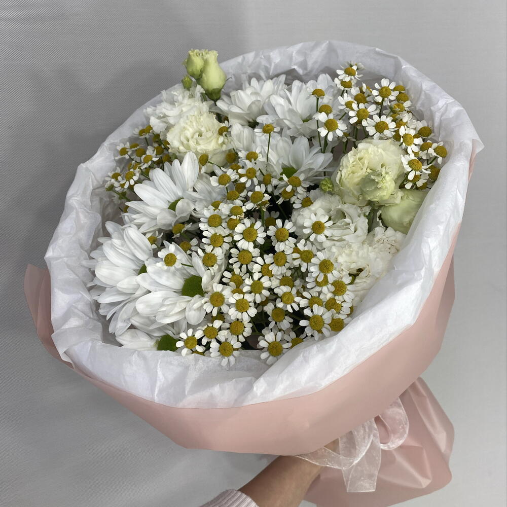 Ромашковые поля