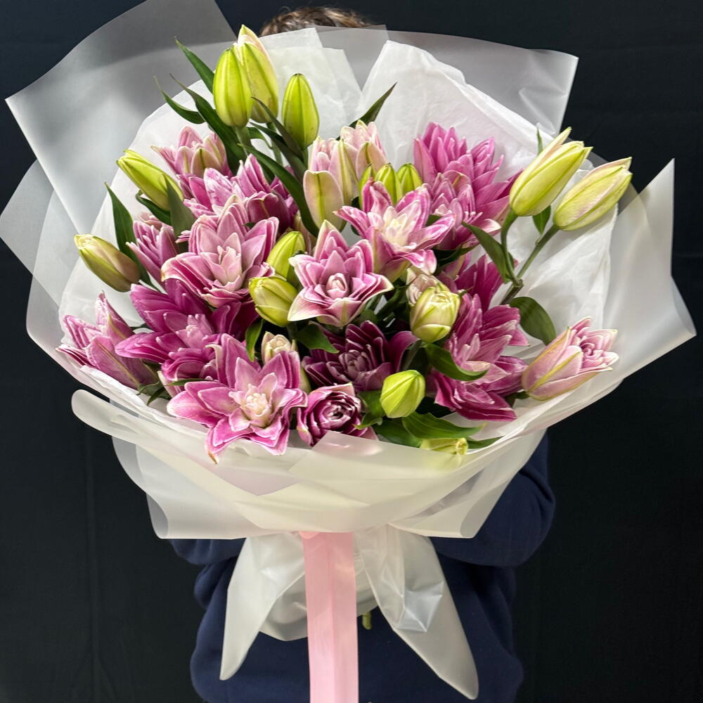 Pink Lily Dream