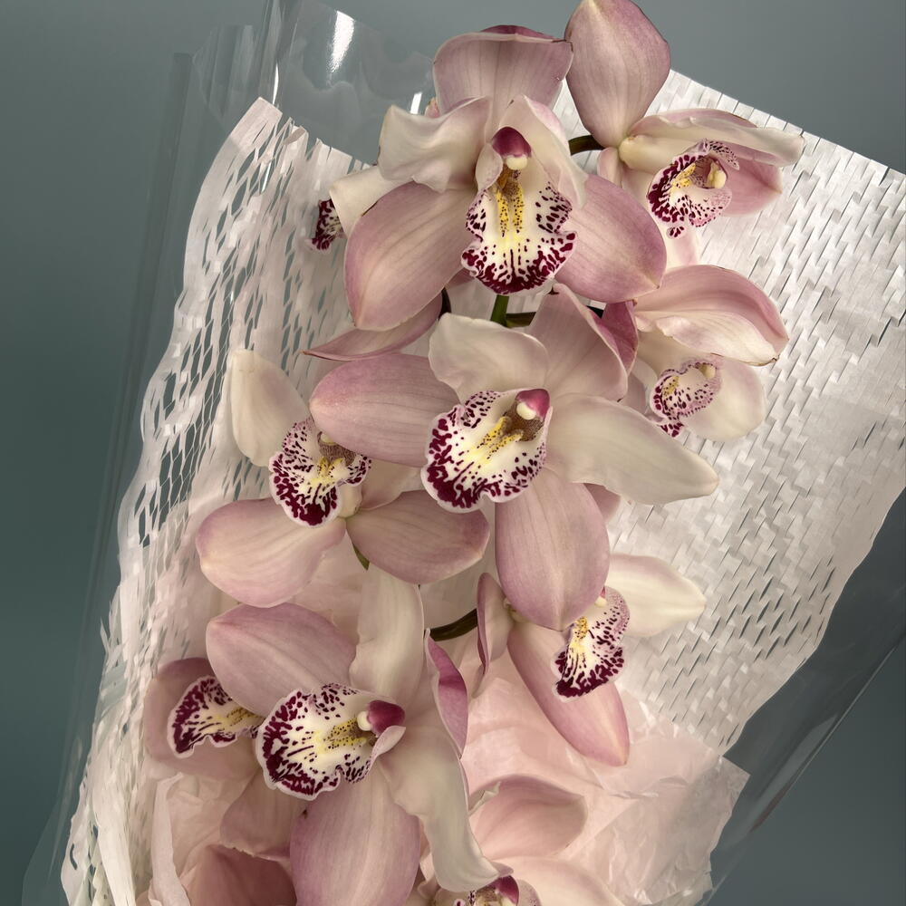 Любящее сердце