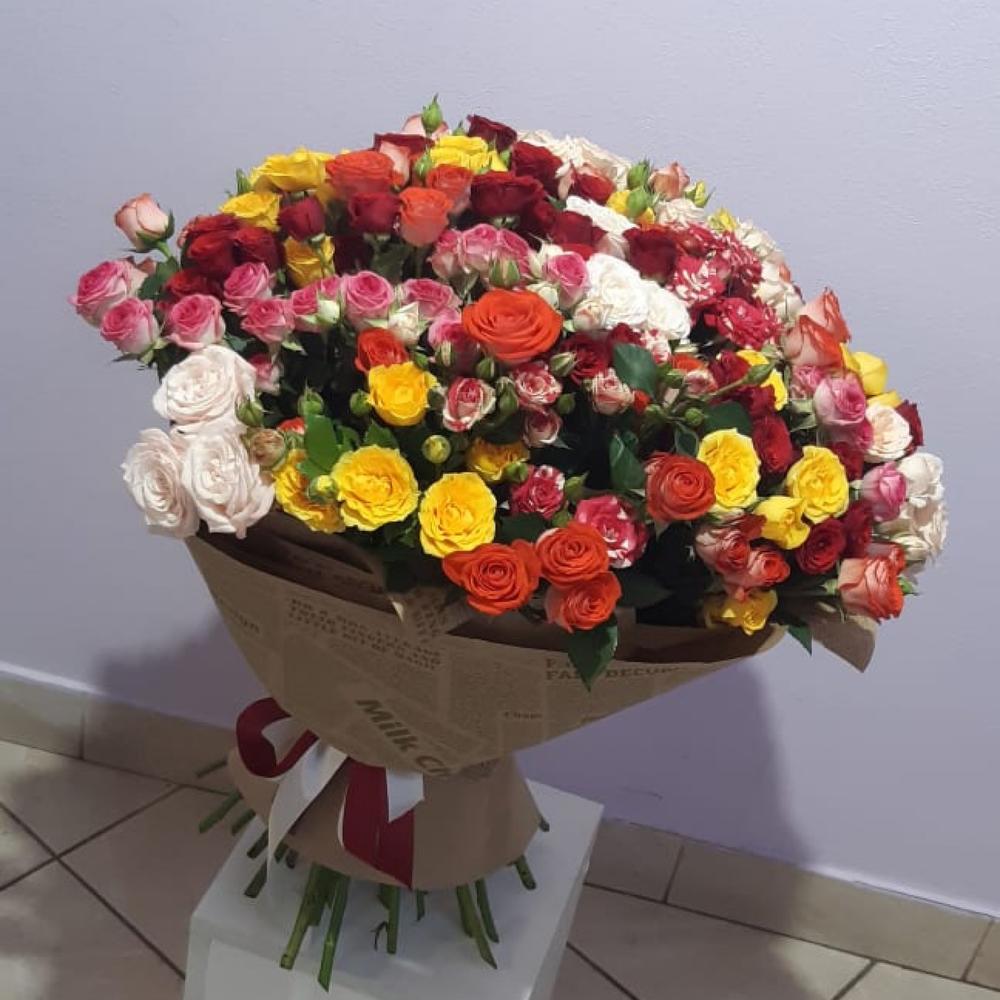 45 rosas arbustivas