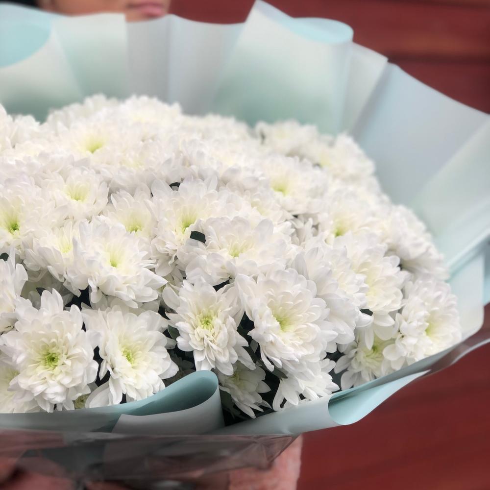 15 кустовых хризантем