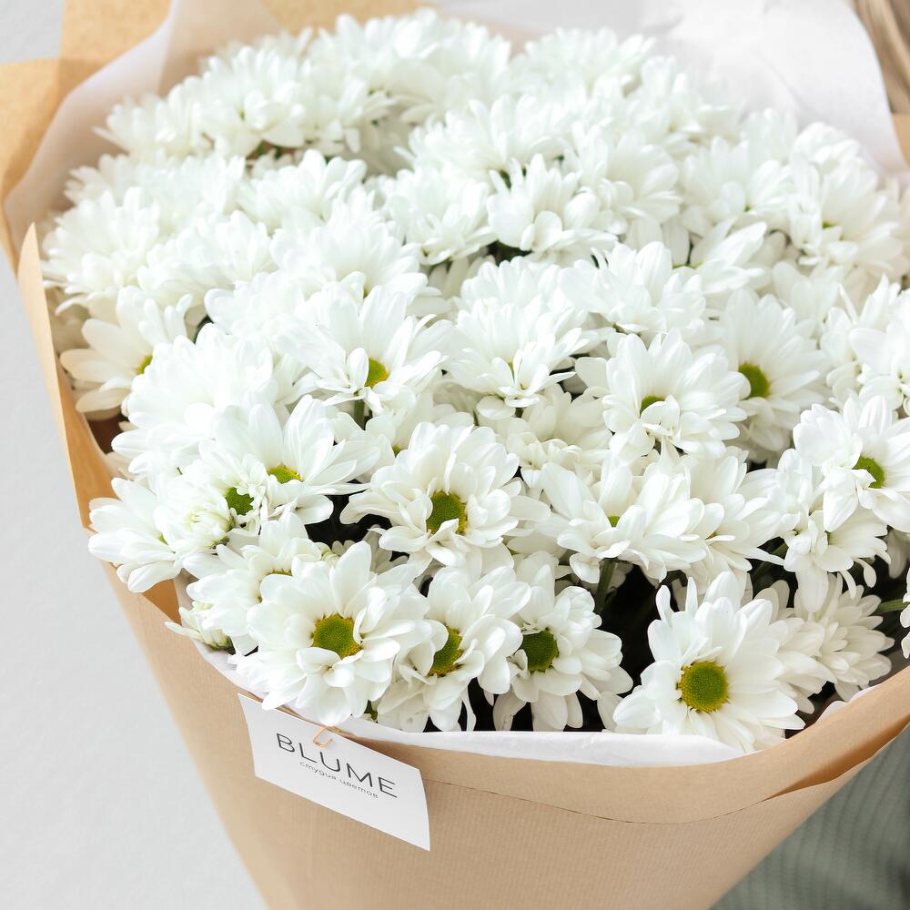 Большой моно хризантемы, Flowers and presents Yekaterinburg, buy at a