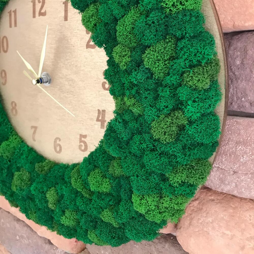 Часы со стабилизированным мхом 🌳