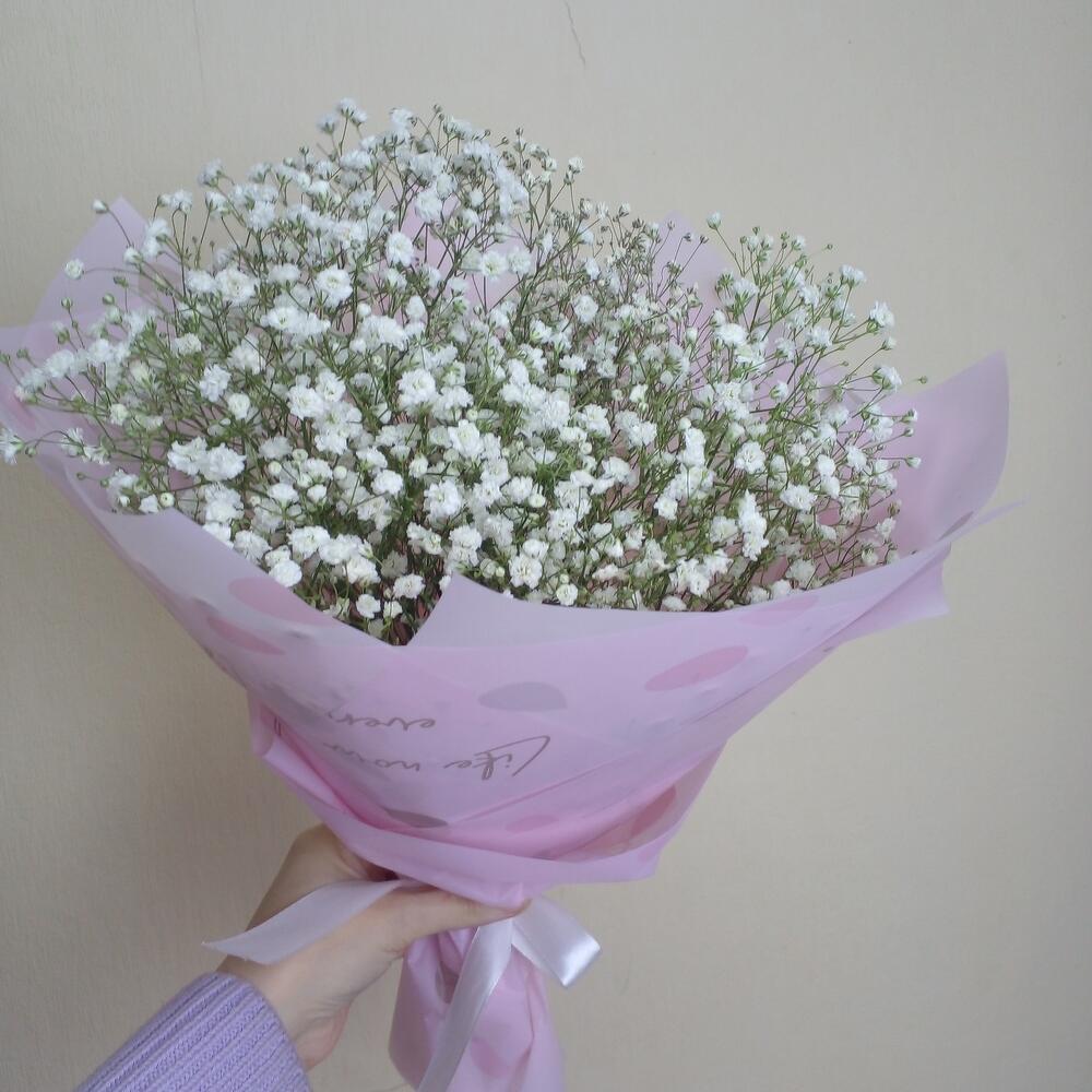 Nube de gypsophila