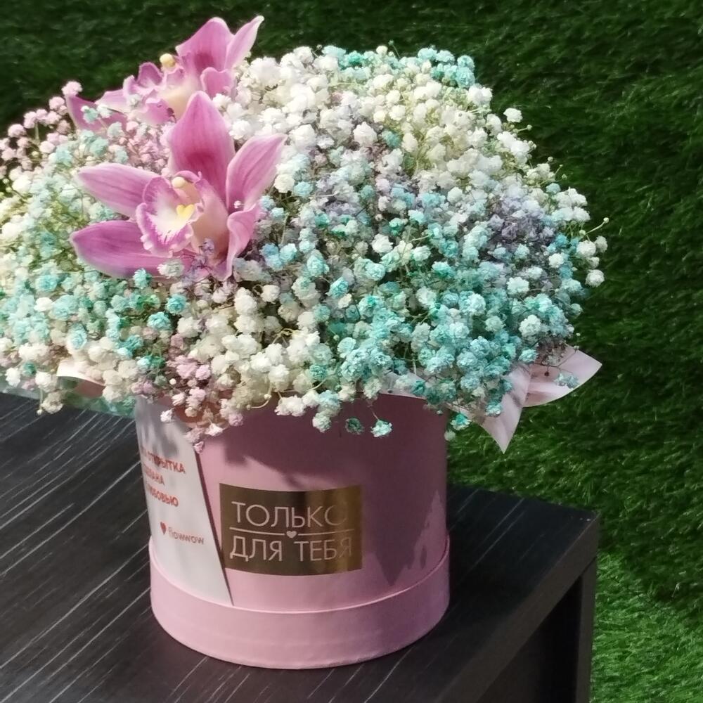 Cymbidium and gypsophila