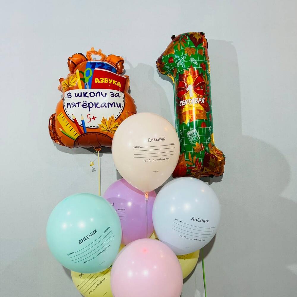 Шары с гелием дневник на 1 сентября 9 шт, Цветы и подарки в Балашихе ...