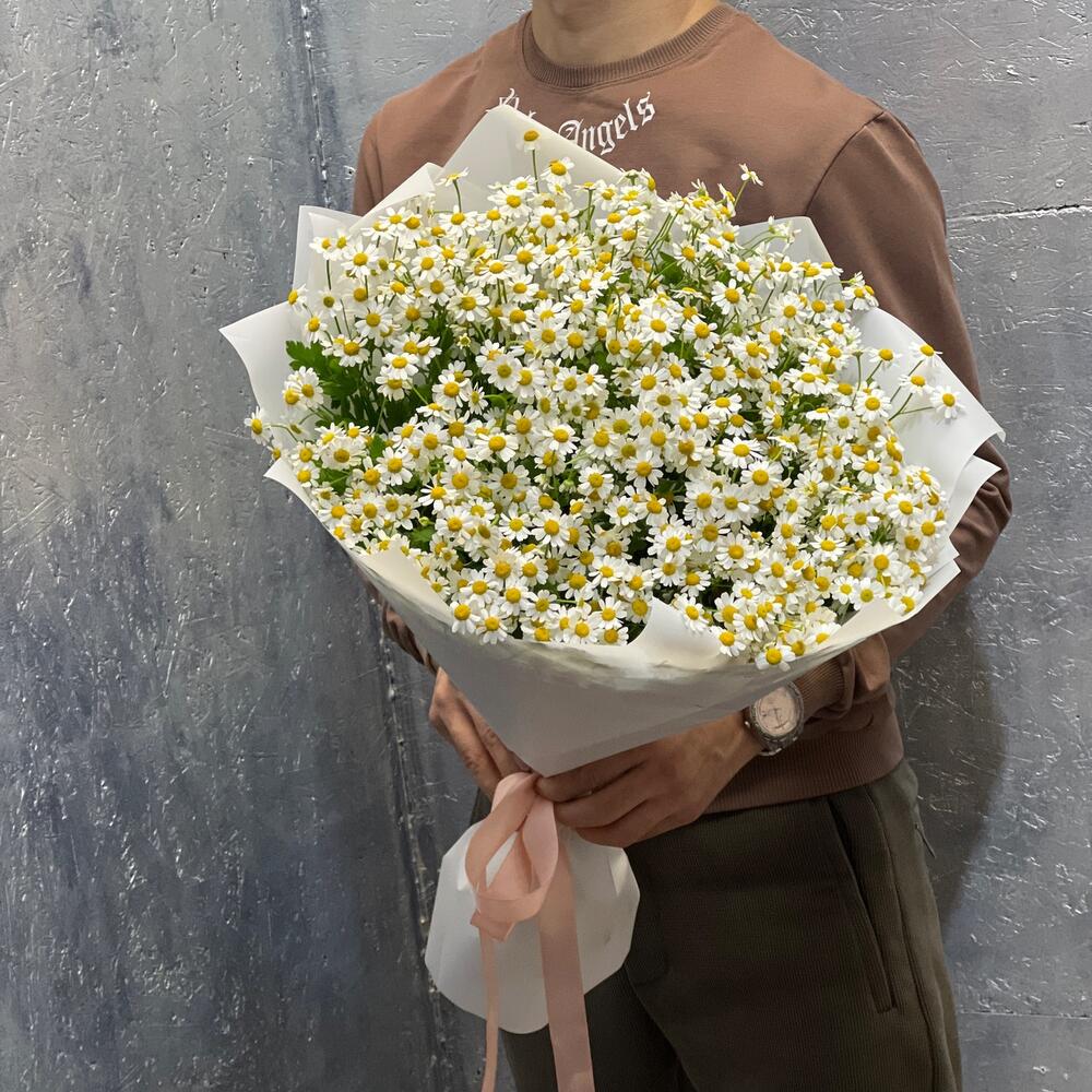 Ромашка кустовая