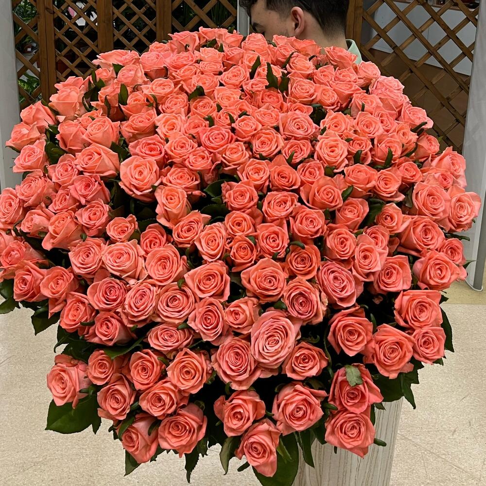 151 РОЗА 😍