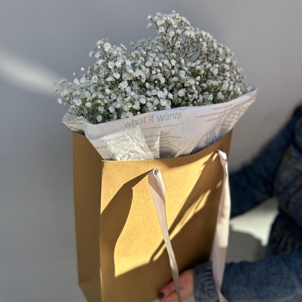 Countess Gypsophila (in a craft package)