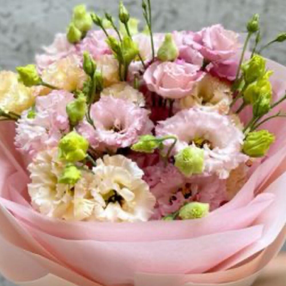 Нежный воздушный букет Эустома Лизиантус🎀