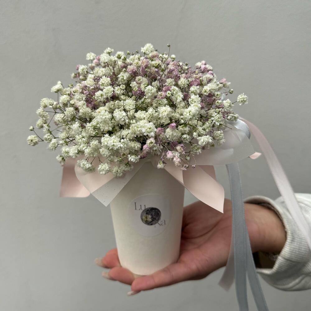 Gypsophila in a white coffee cup