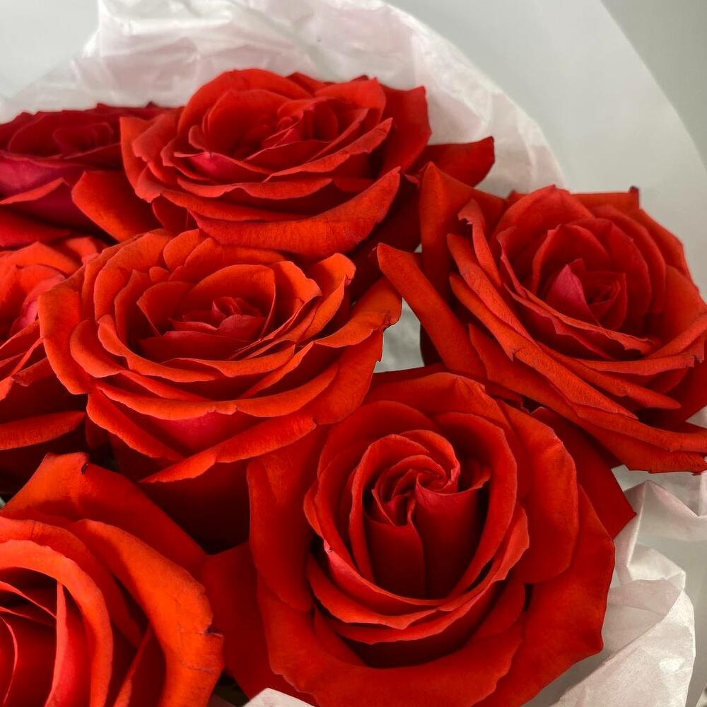 🌹 Букет от Flowersgift из 7 красных роз ▪️ 1