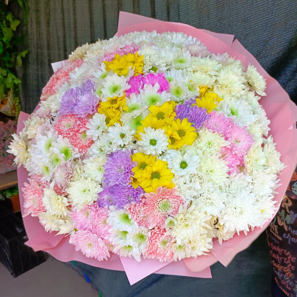 Микс из 51 хризантемы