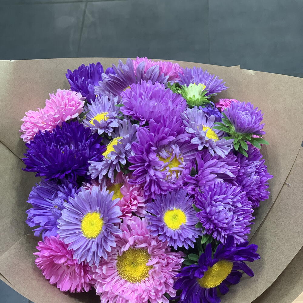 Asters mix in craft