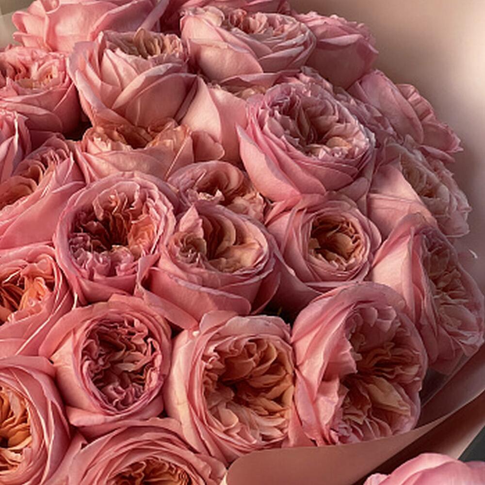 Букет пионовидных роз Pink Expression XL