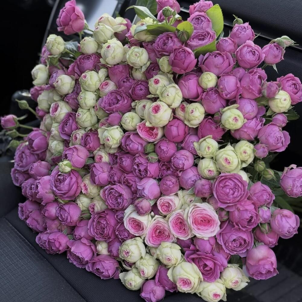 💗 Роскошный букет кустовых роз микс 🩷