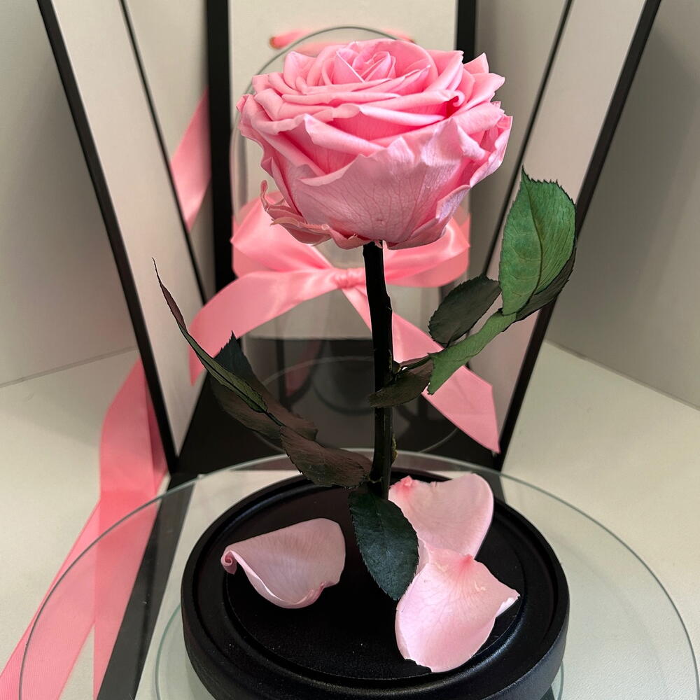 Живая роза в колбе Mini розовая, 20*10, черная подарочная коробка