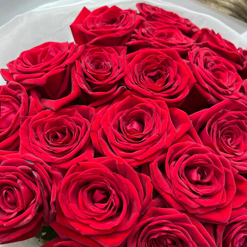 Моно букет из 29 бордовых роз 😍