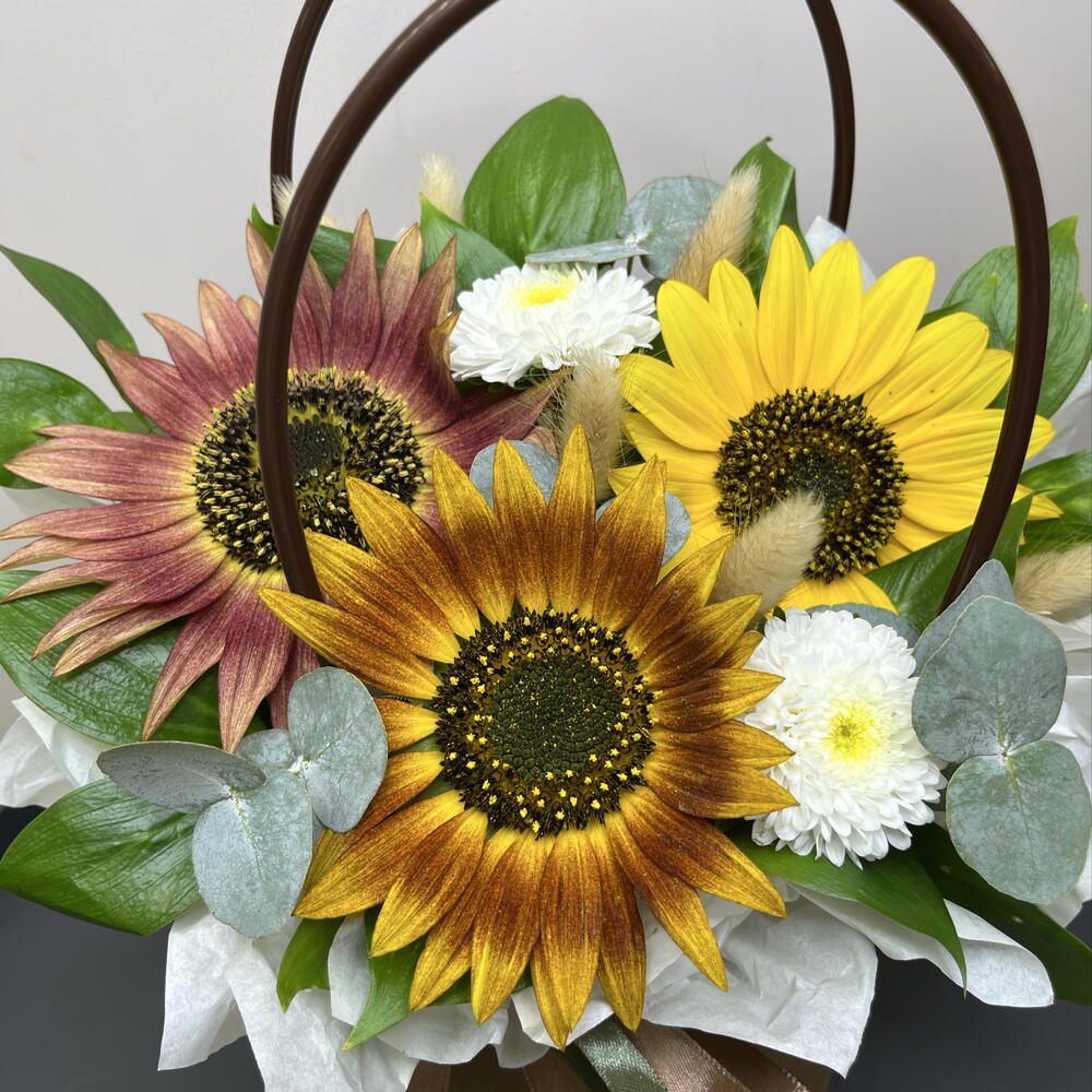 Сортовые солнечные подсолнухи 🌻