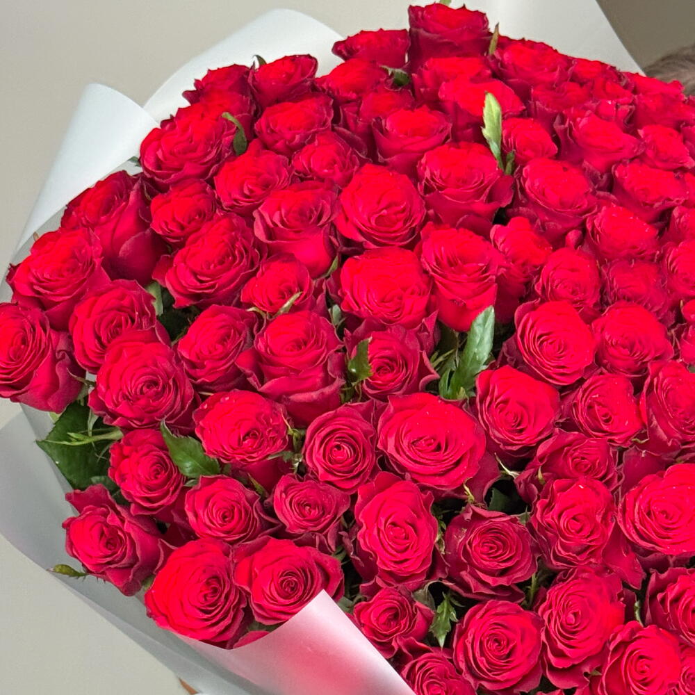 Красные розы ПРЕМИУМ 101 шт🌹