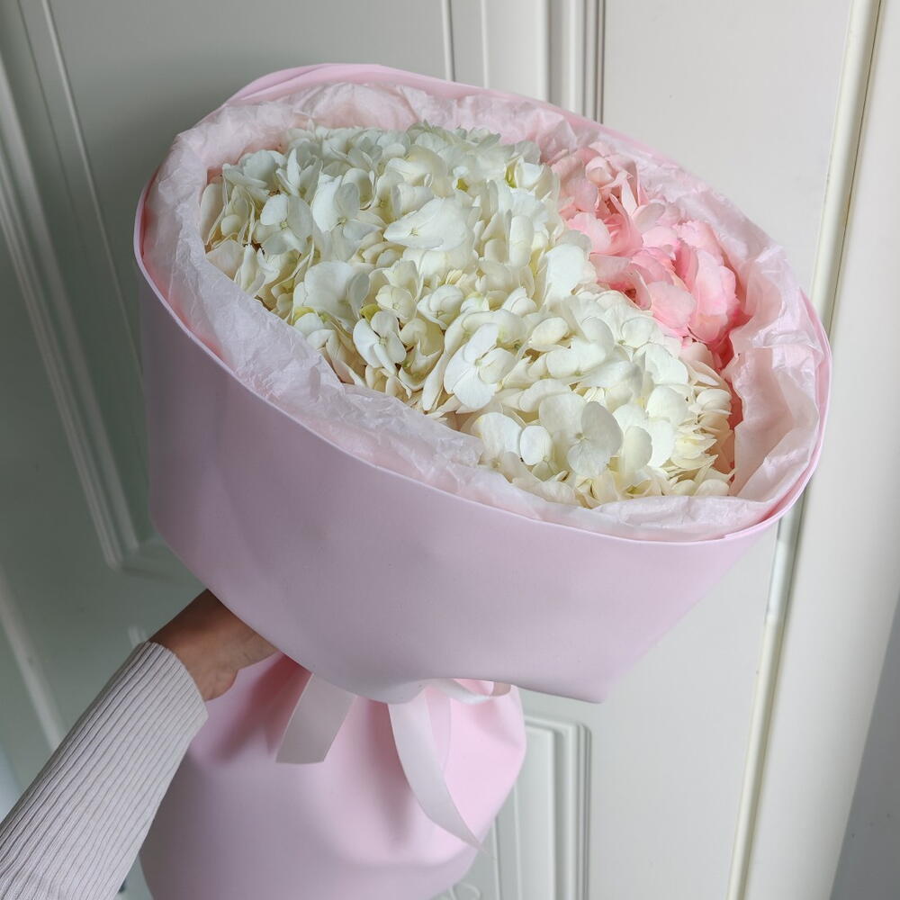 Зефирка🌷🩷