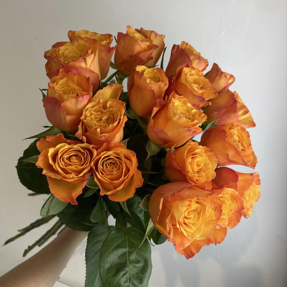 Розы рыжие 🧡19