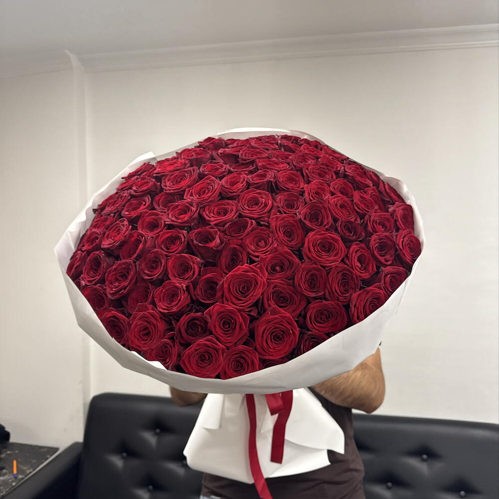 Красные розы 🌹🌹🌹