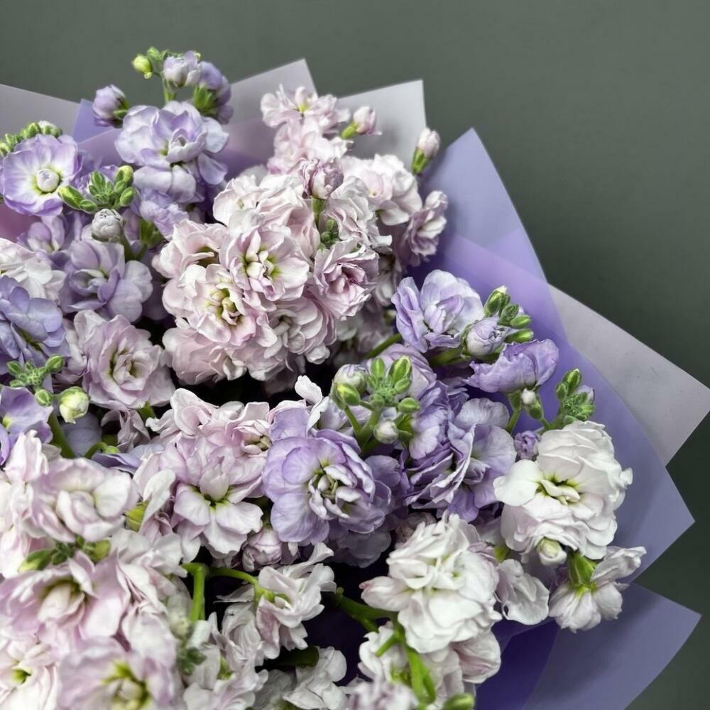7 ароматных маттиол 💜