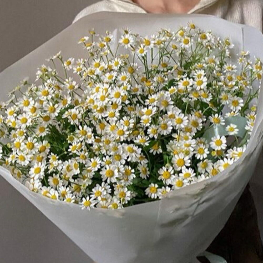Букет ромашек