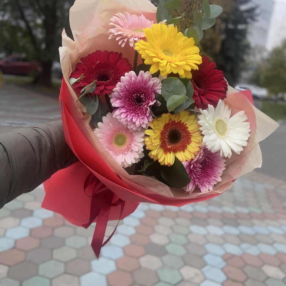 Герберы 9