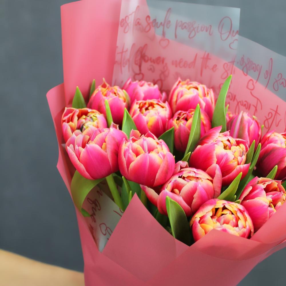 The first tulips