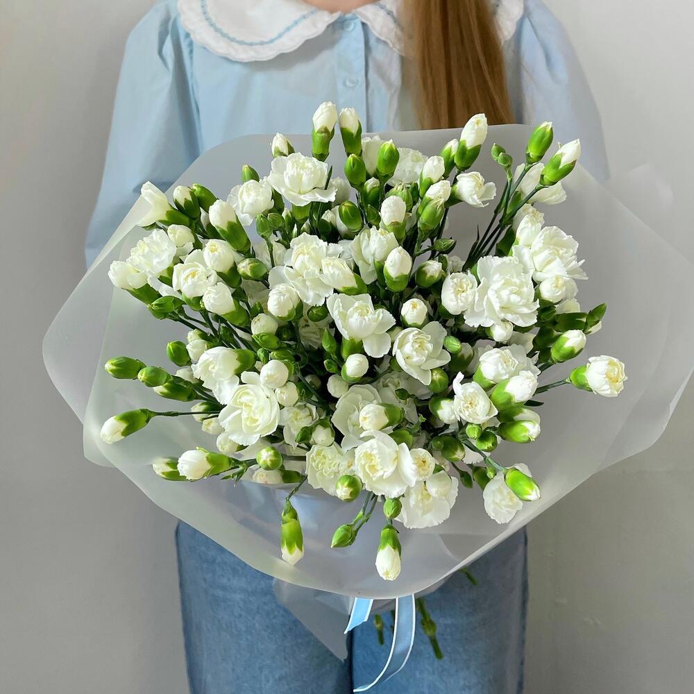 25 кустовых гвоздик