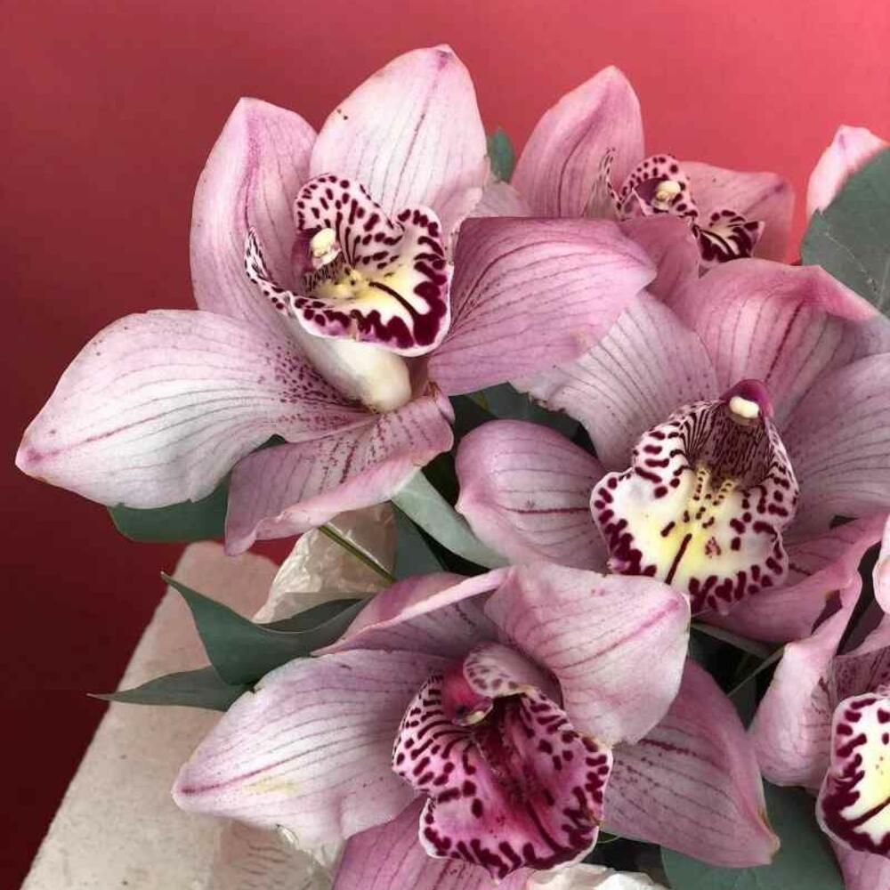 🌹 Коробка Flowersgift с орхидеями - 104