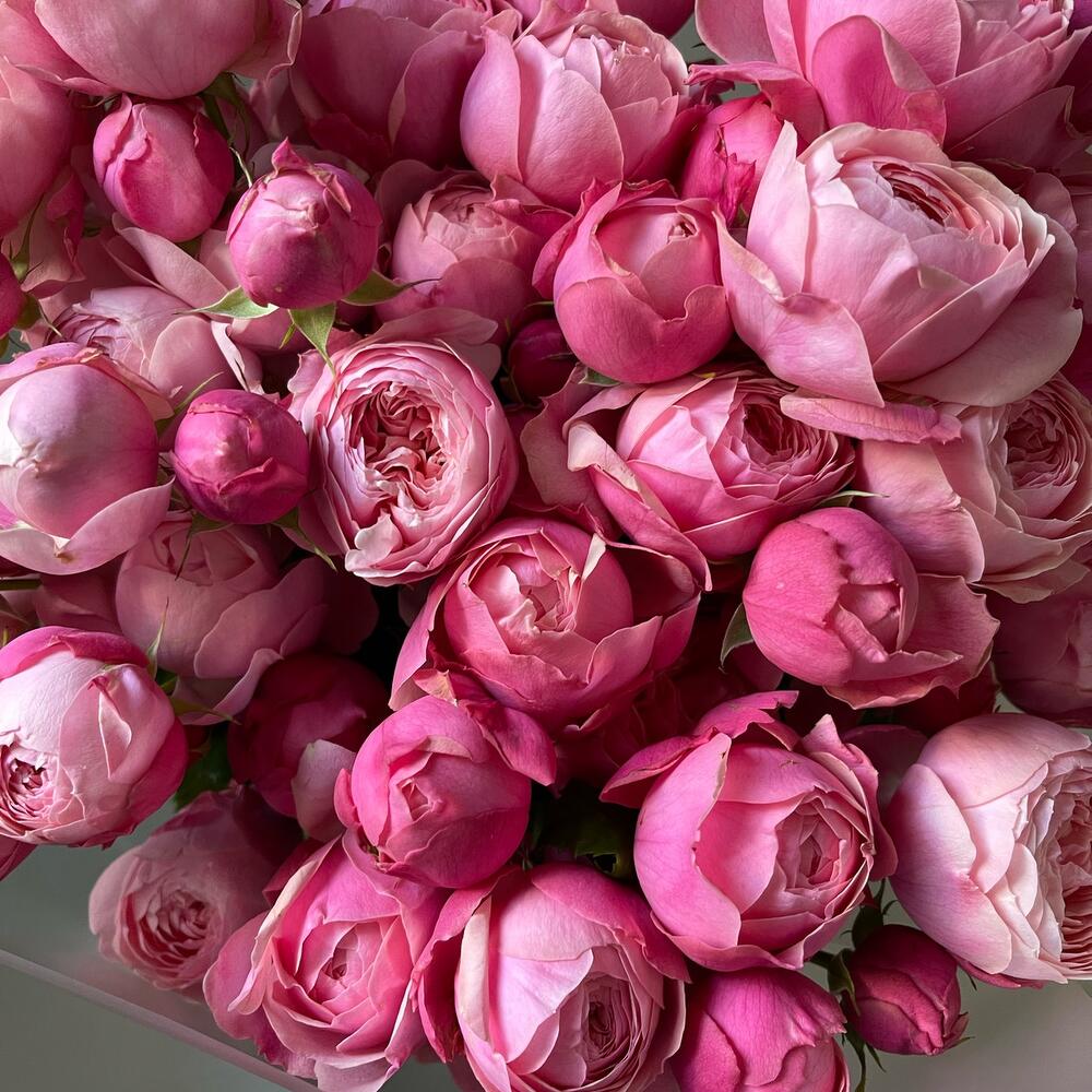 11 пионовидных кустовых роз🌸