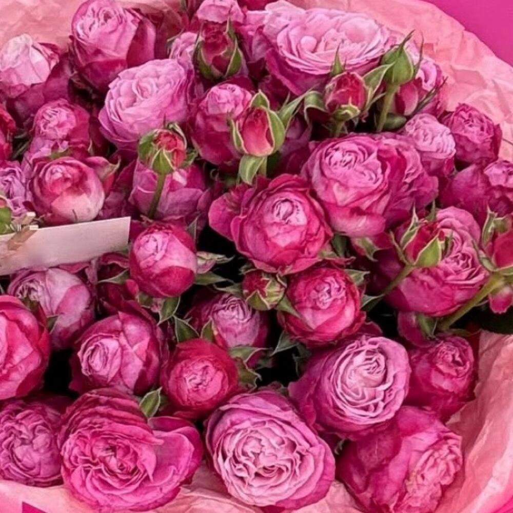 Монобукет из кустовых роз💕