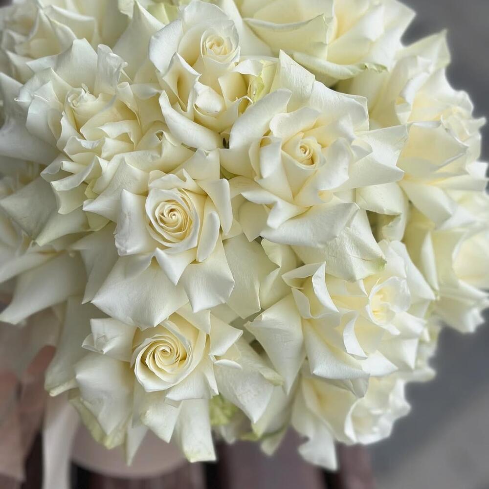 17 French roses in a Delicate Lace box