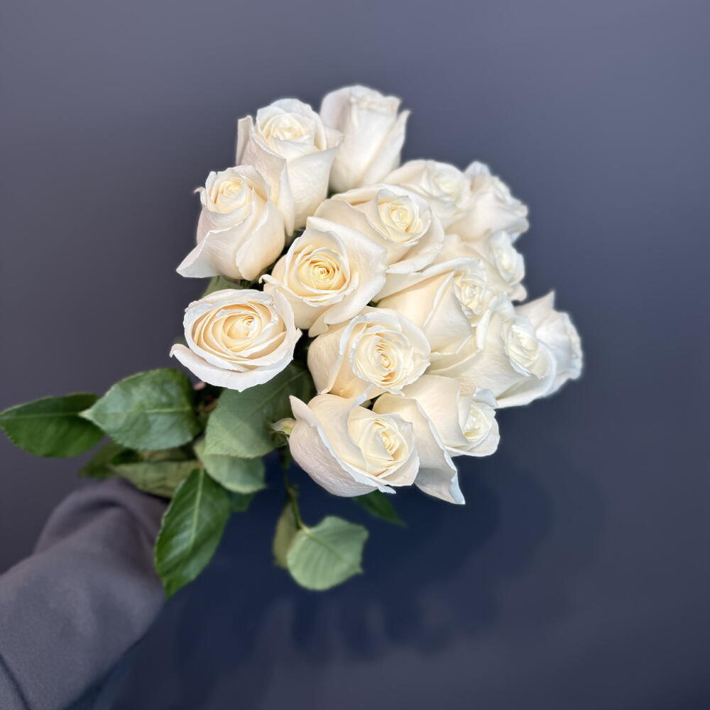 Розы белые 15шт