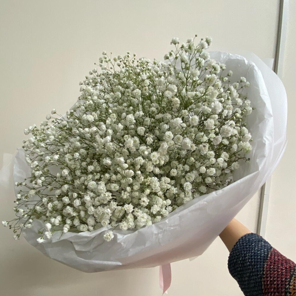 Белоснежная гипсофилла, 9 штук