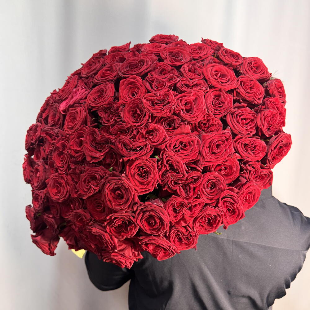 101 красная Роза  🌹 ♥️