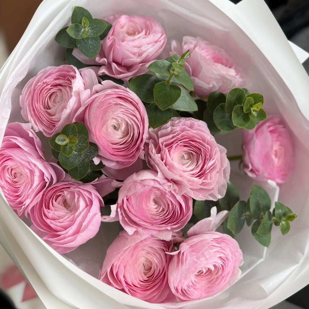 Pink Velvet Touch
