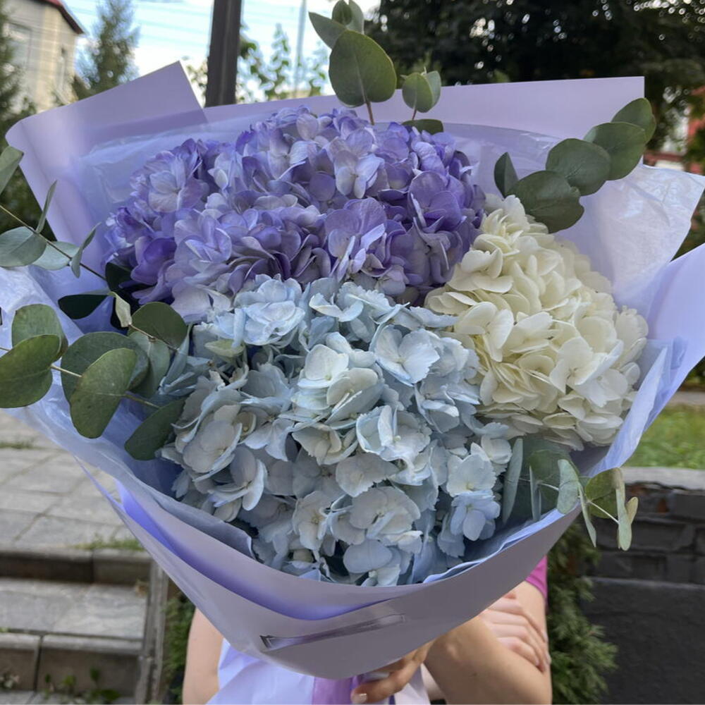 Монобукет с гортензией