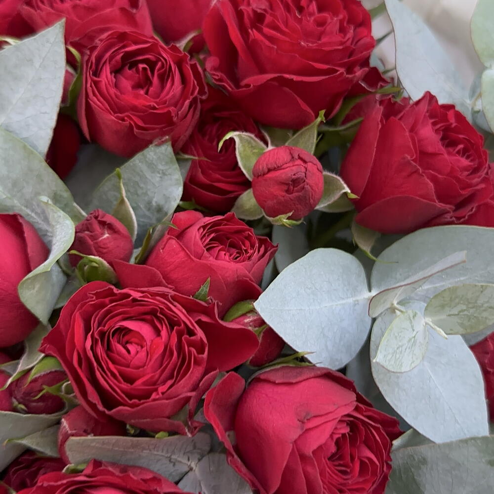Bouquet 223